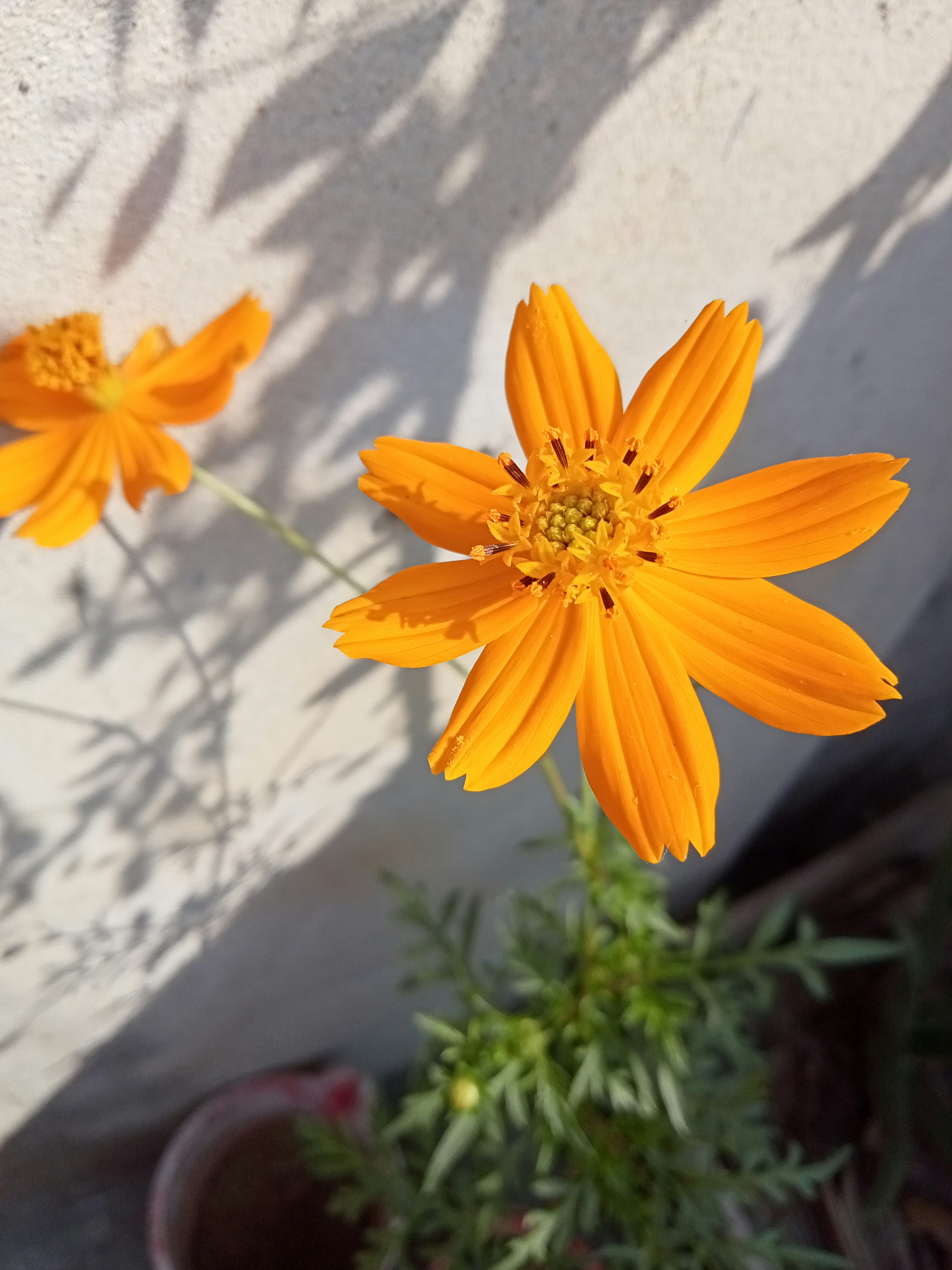 Blumenarrangement tahsin-nawar-lLfokMZMppk-unsplash.jpg